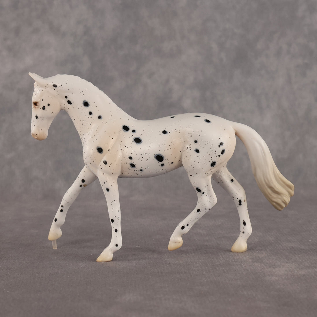 Jay Walker LE-5 EFCM Chip Warmblood by Madi Wiseman LHS26