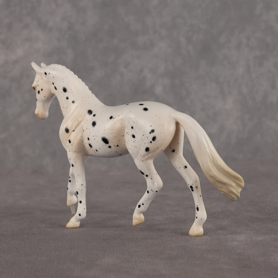 Jay Walker LE-5 EFCM Chip Warmblood by Madi Wiseman LHS26