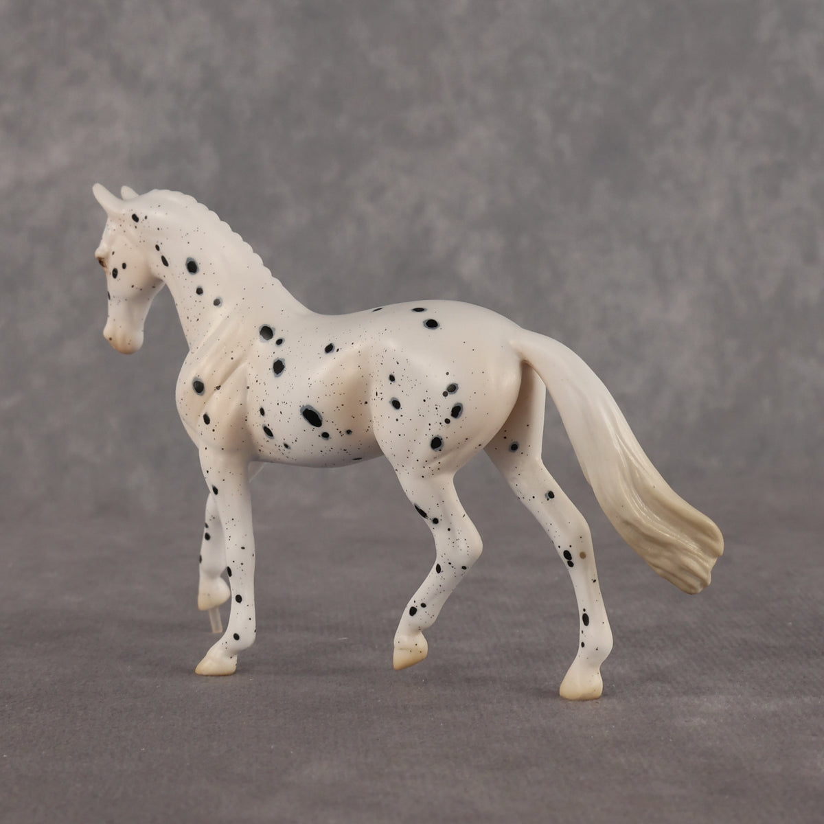 Jay Walker LE-5 EFCM Chip Warmblood by Madi Wiseman LHS26