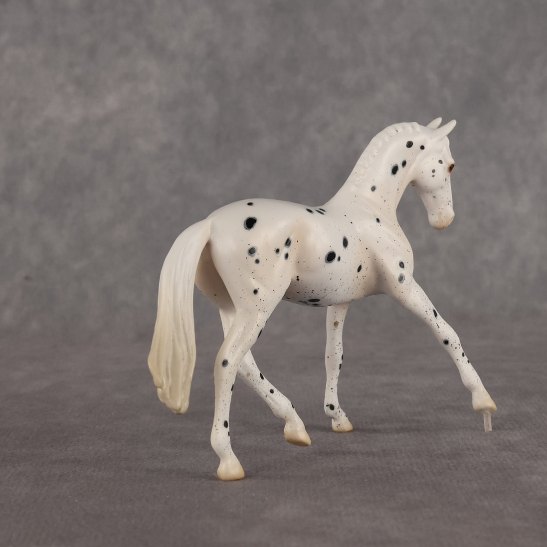 Jay Walker LE-5 EFCM Chip Warmblood by Madi Wiseman LHS26