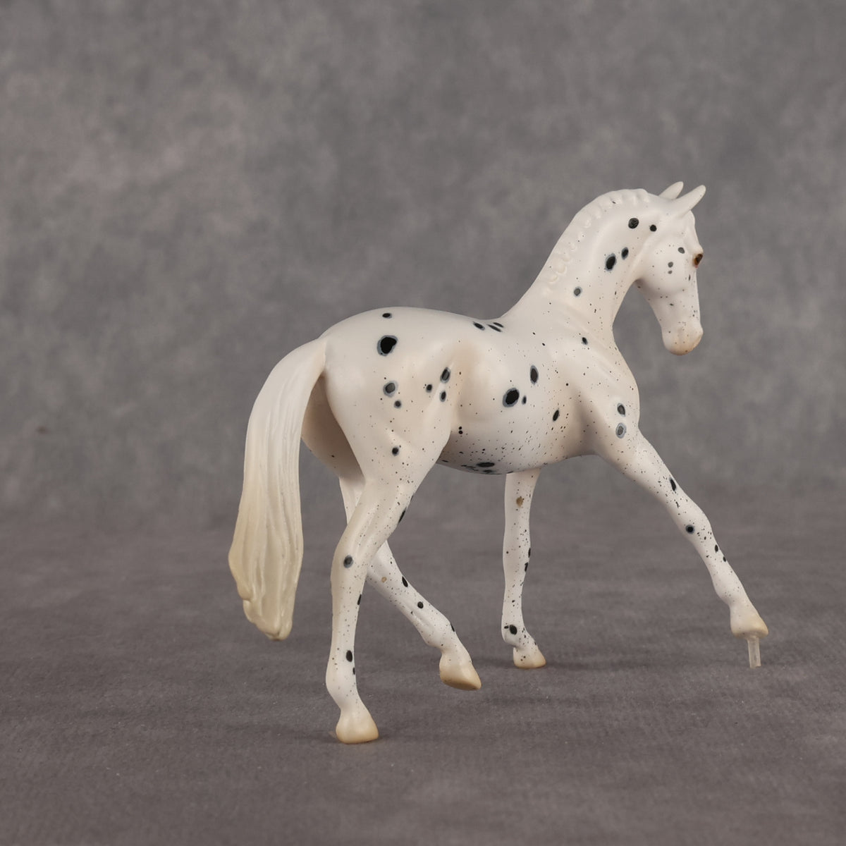 Jay Walker LE-5 EFCM Chip Warmblood by Madi Wiseman LHS26