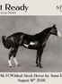 Jet Ready OOAK Ideal Stock Horse by Anna Rieck DDOOAKs26