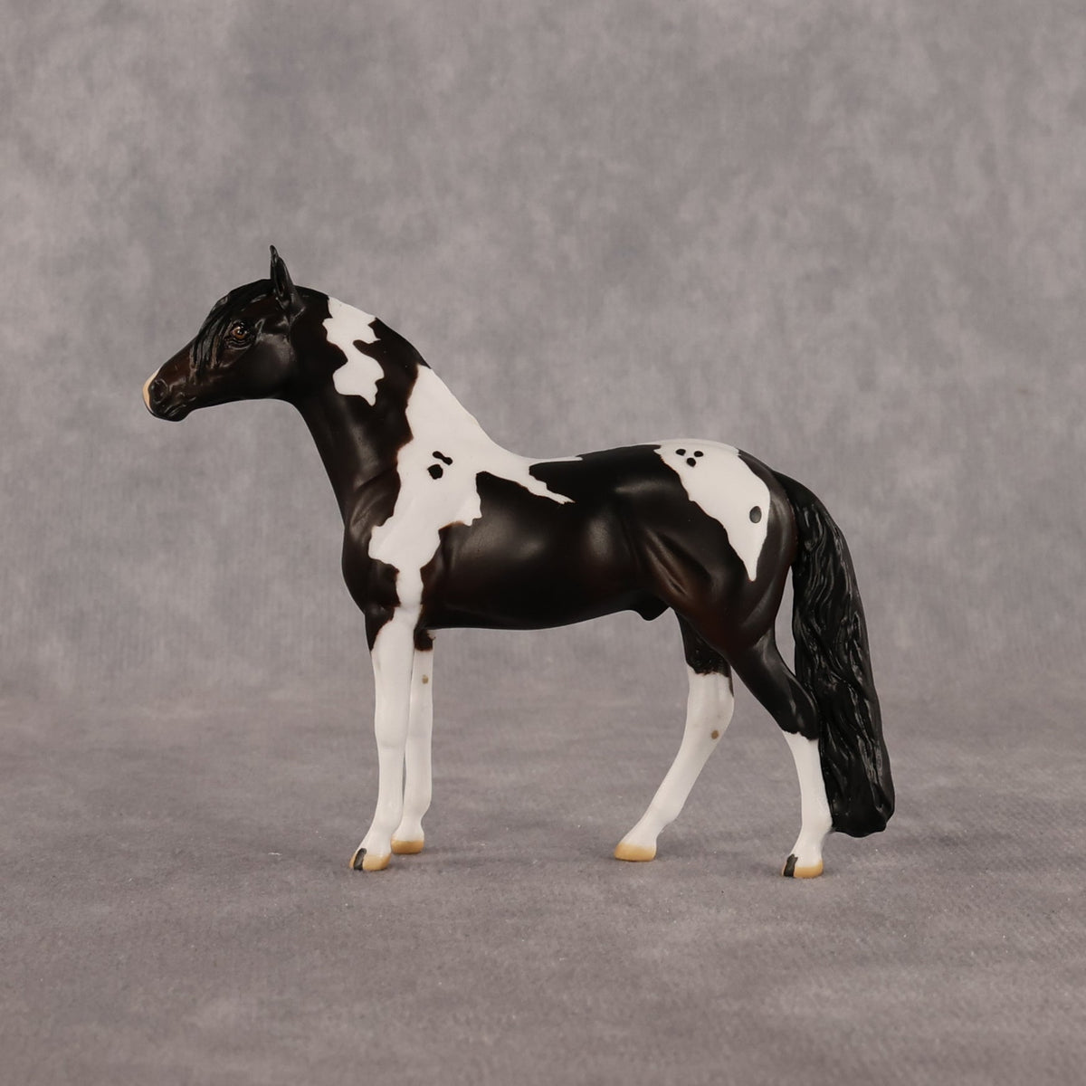 Jiffy OOAK Chip Andalusian by Anna Rieck LHS26