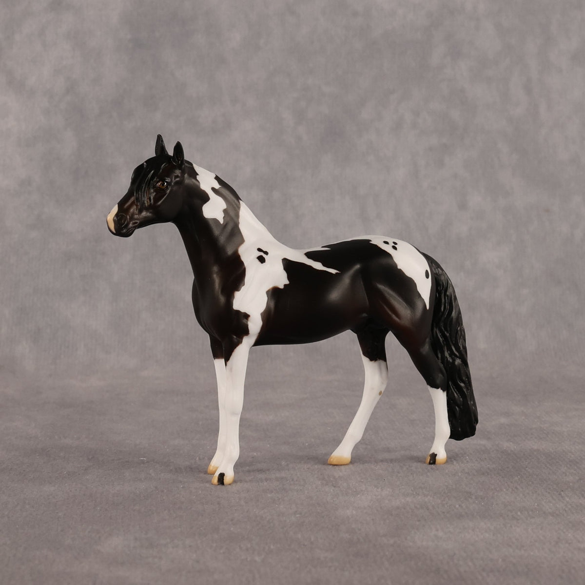 Jiffy OOAK Chip Andalusian by Anna Rieck LHS26