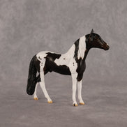 Jiffy OOAK Chip Andalusian by Anna Rieck LHS26