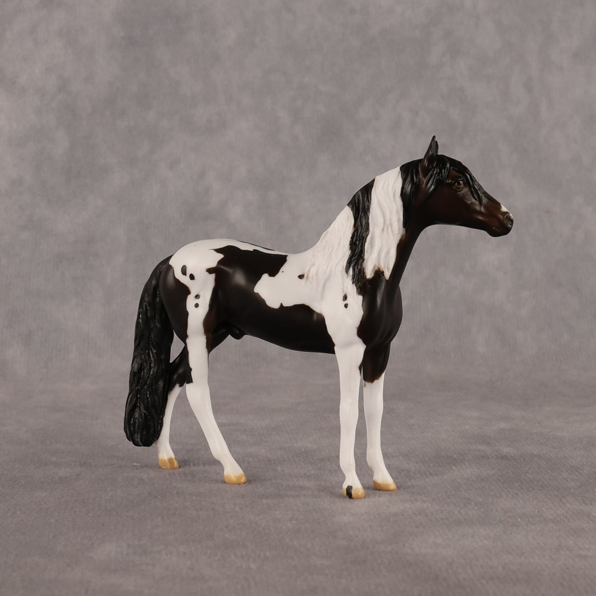 Jiffy OOAK Chip Andalusian by Anna Rieck LHS26