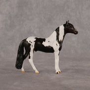 Jiffy OOAK Chip Andalusian by Anna Rieck LHS26
