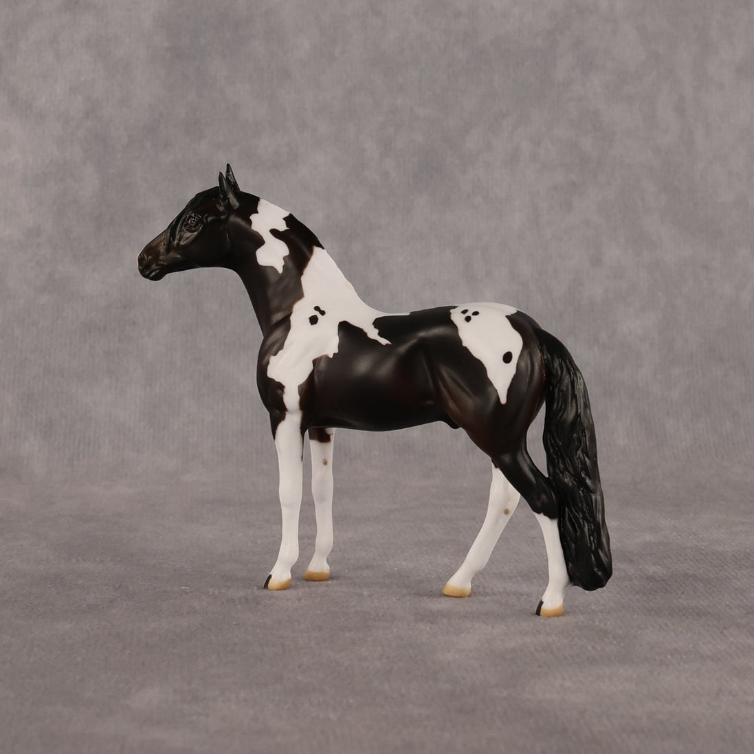 Jiffy OOAK Chip Andalusian by Anna Rieck LHS26