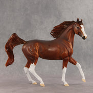 Joan OOAK FCM Arabian Mare by Dawn Quick VV26