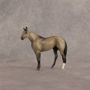 John OOAK Chip Stock Horse by Madi Wiseman EQ26
