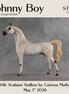 Johnny Boy OOAK Arabian Stallion by Carissa Mathews DDOOAKs26
