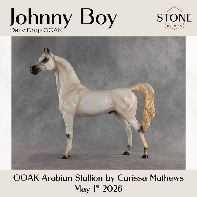 Johnny Boy OOAK Arabian Stallion by Carissa Mathews DDOOAKs26