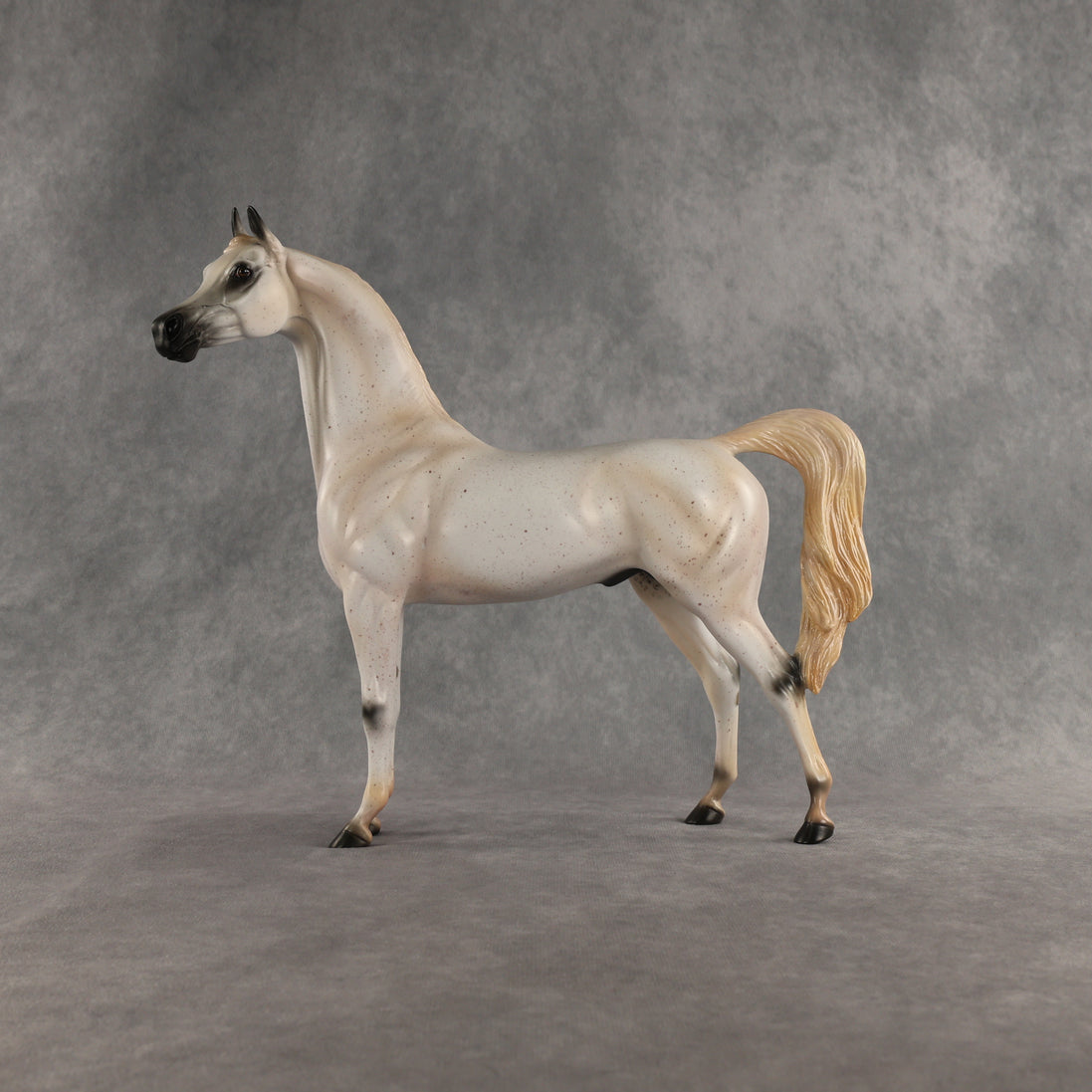 Johnny Boy OOAK Arabian Stallion by Carissa Mathews DDOOAKs26