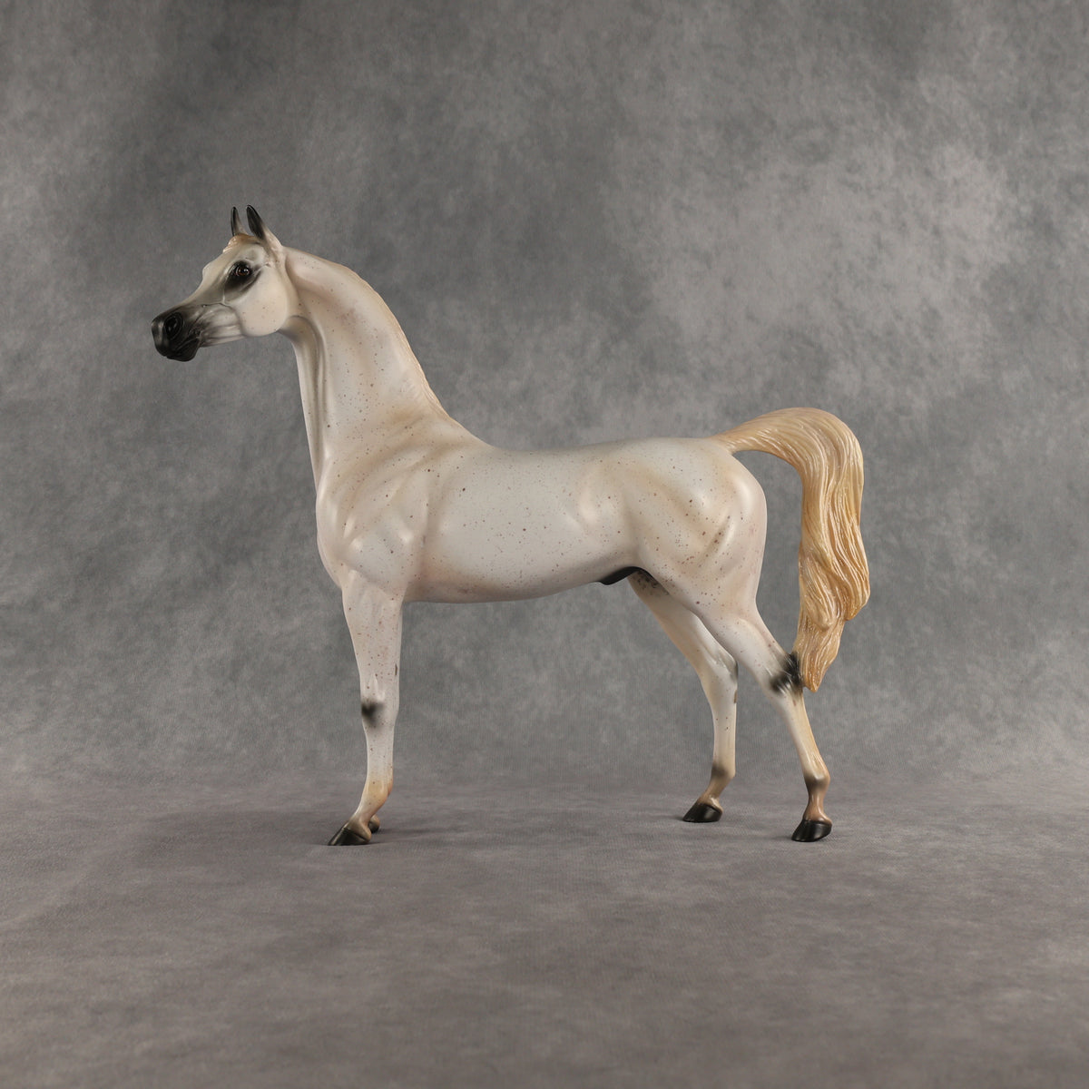 Johnny Boy OOAK Arabian Stallion by Carissa Mathews DDOOAKs26