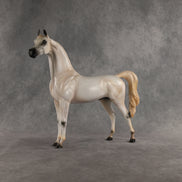 Johnny Boy OOAK Arabian Stallion by Carissa Mathews DDOOAKs26