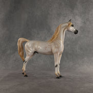 Johnny Boy OOAK Arabian Stallion by Carissa Mathews DDOOAKs26