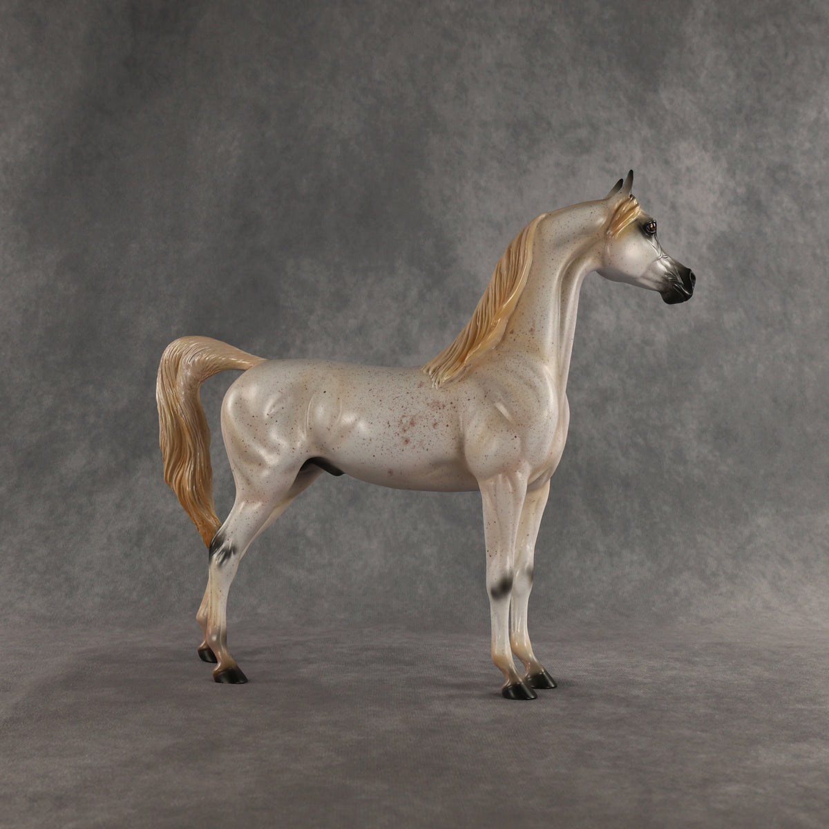 Johnny Boy OOAK Arabian Stallion by Carissa Mathews DDOOAKs26