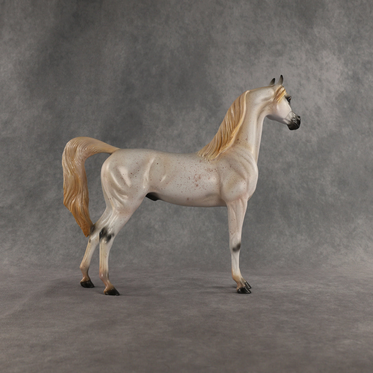 Johnny Boy OOAK Arabian Stallion by Carissa Mathews DDOOAKs26
