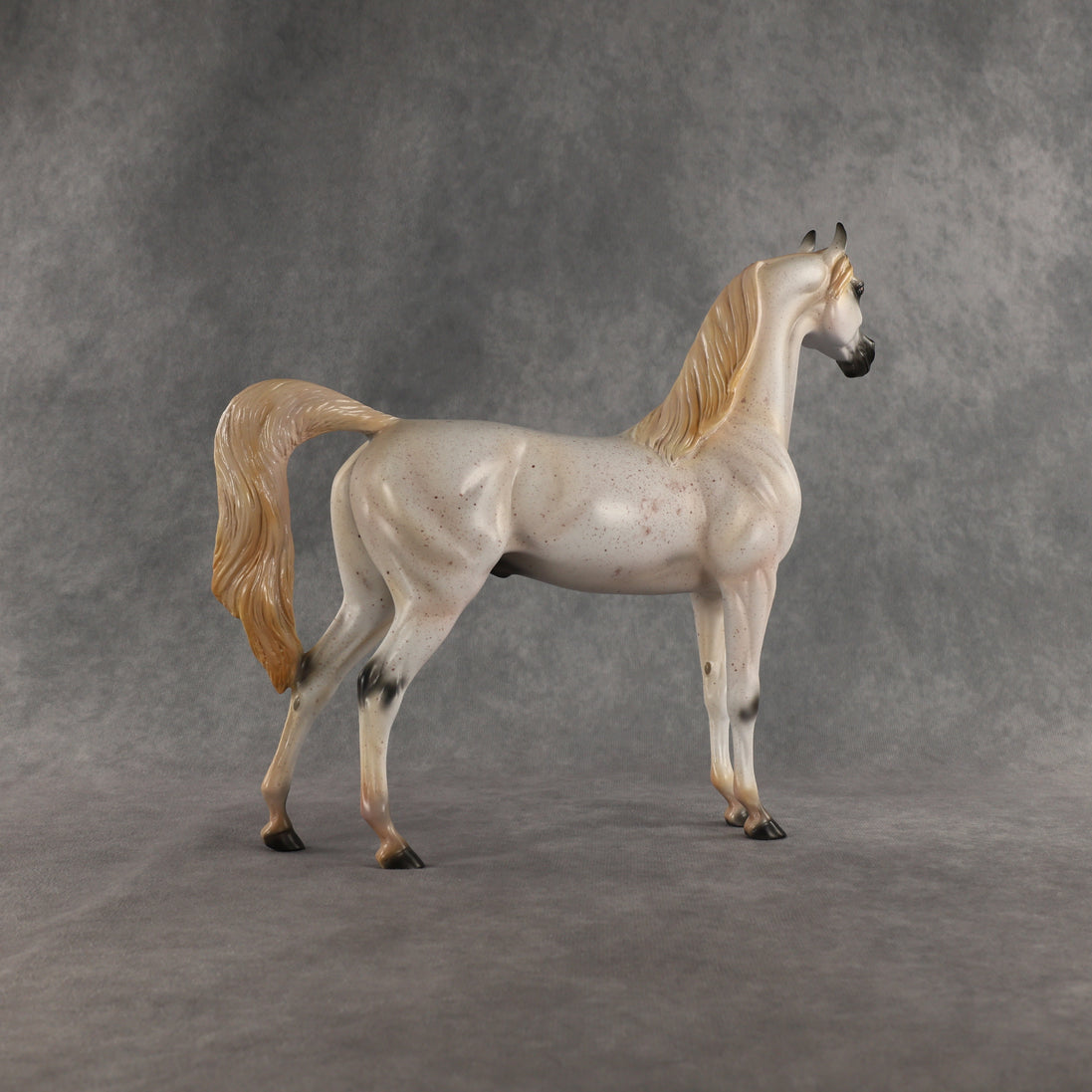 Johnny Boy OOAK Arabian Stallion by Carissa Mathews DDOOAKs26