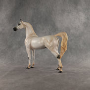 Johnny Boy OOAK Arabian Stallion by Carissa Mathews DDOOAKs26