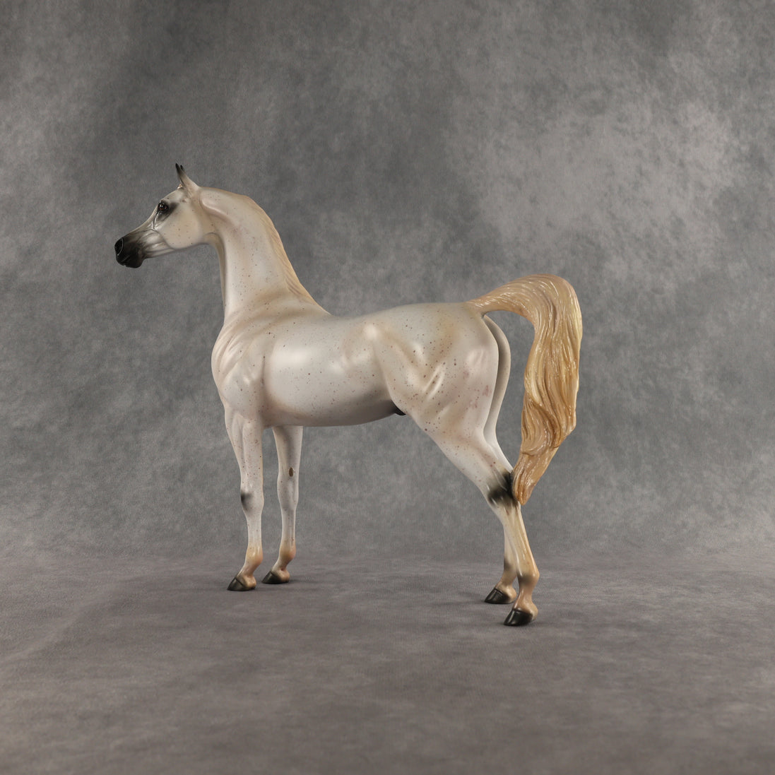 Johnny Boy OOAK Arabian Stallion by Carissa Mathews DDOOAKs26