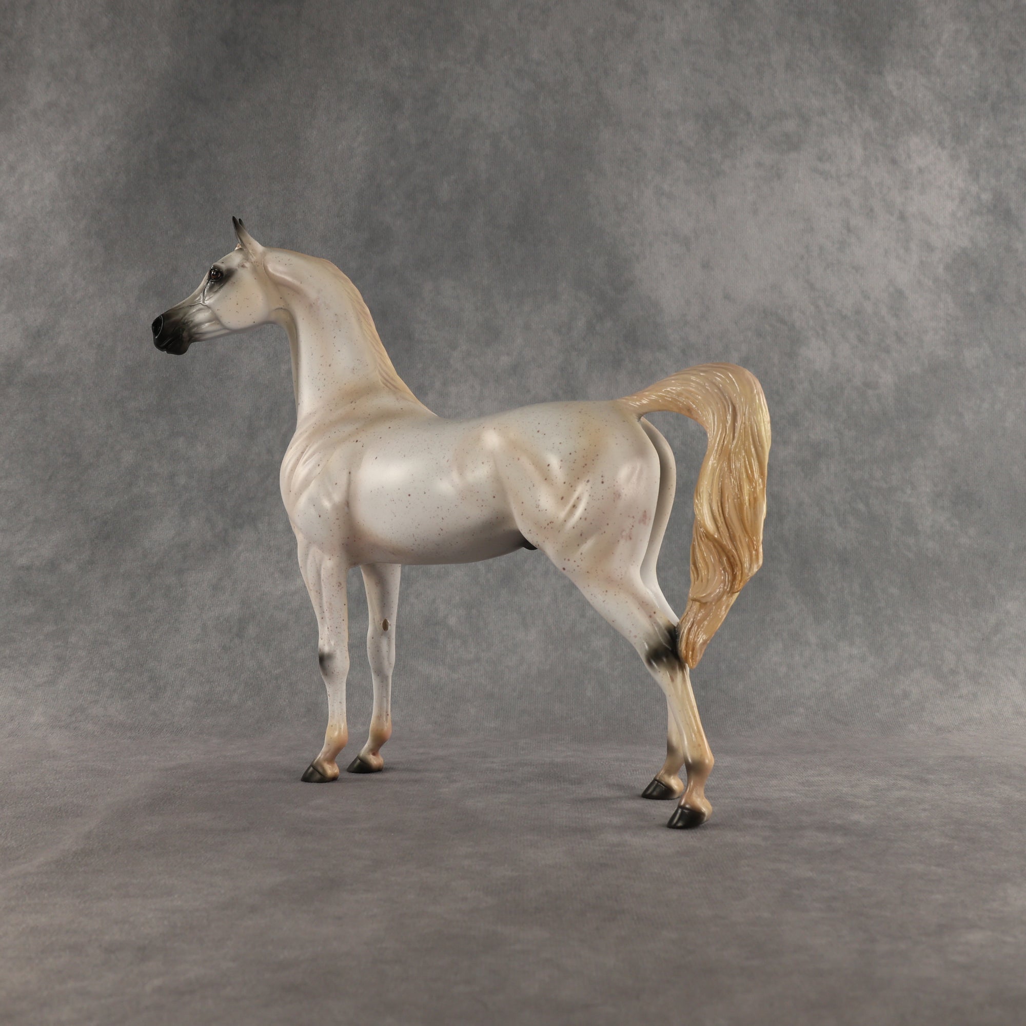 Johnny Boy OOAK Arabian Stallion by Carissa Mathews DDOOAKs26