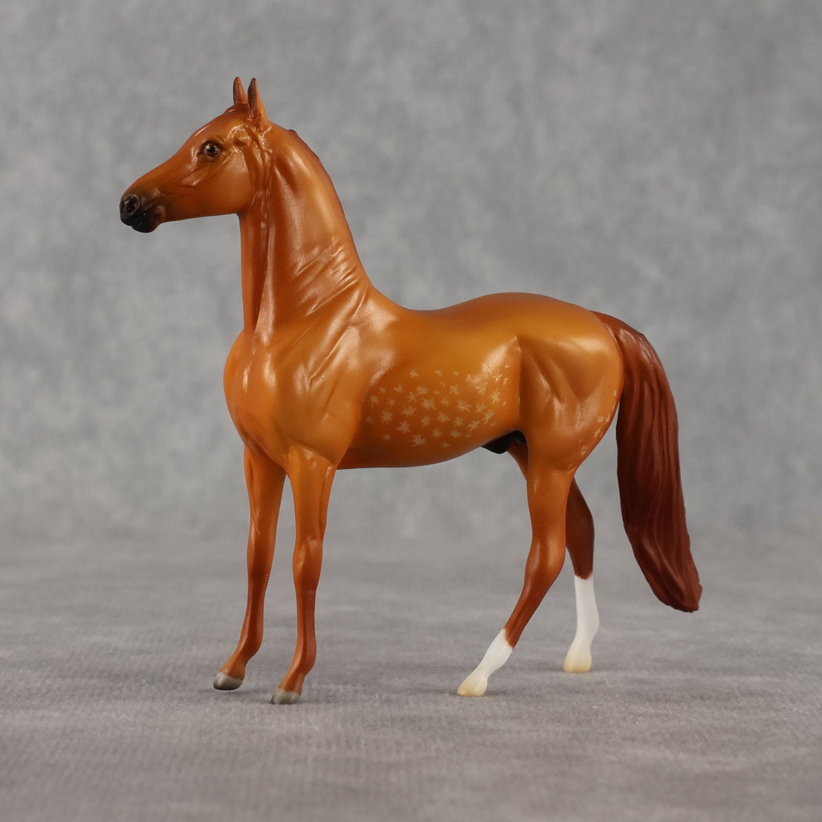Jorge OOAK Chip Morgan by Madi Wiseman LHS26