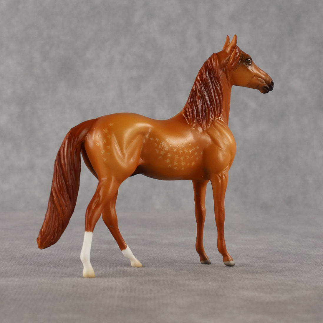Jorge OOAK Chip Morgan by Madi Wiseman LHS26