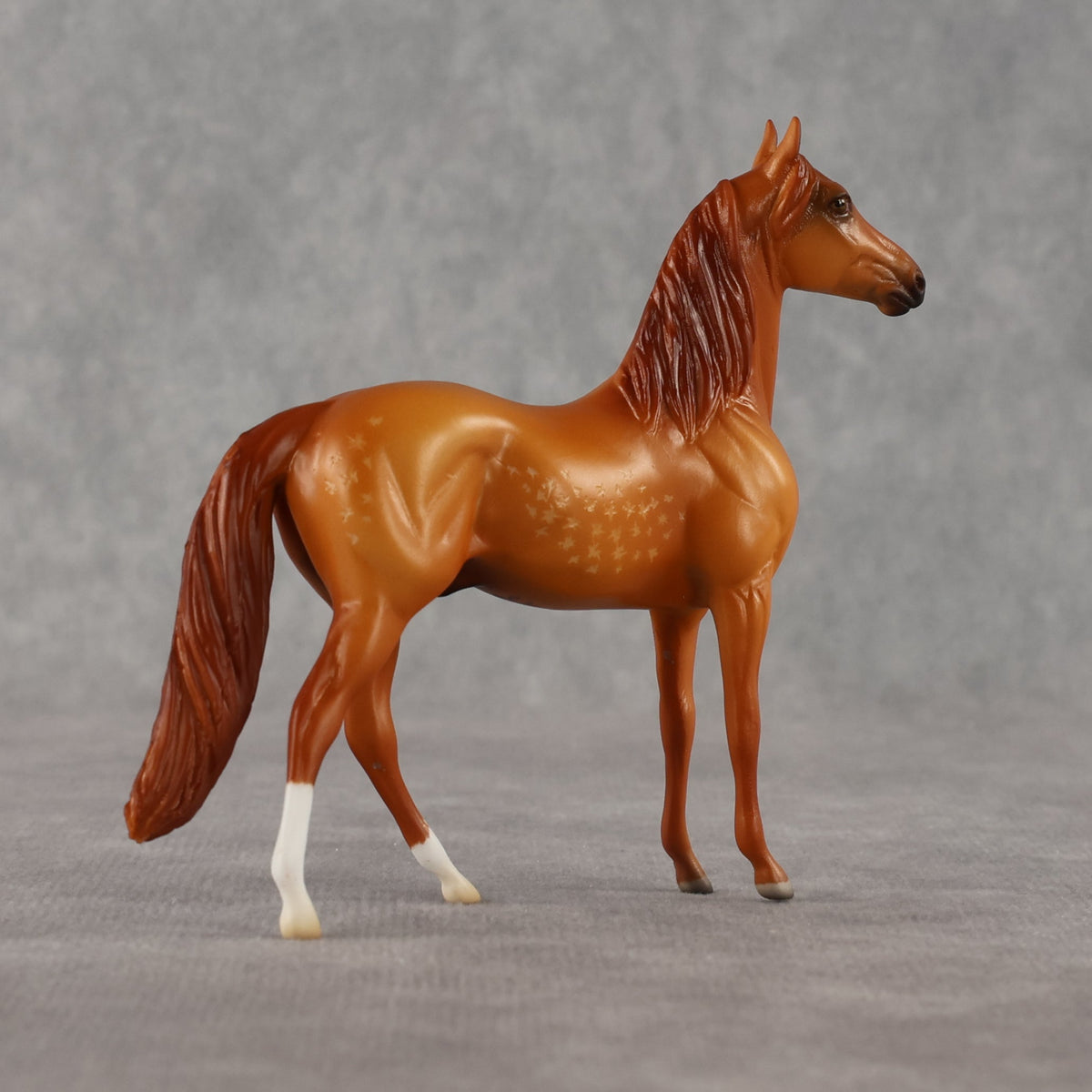 Jorge OOAK Chip Morgan by Madi Wiseman LHS26