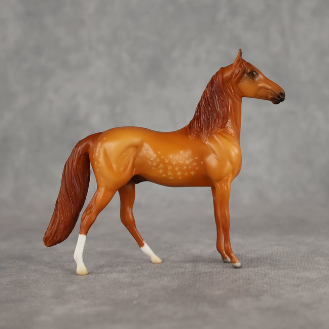 Jorge OOAK Chip Morgan by Madi Wiseman LHS26