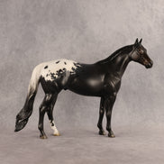 Jumble OOAK Ideal Stock Horse by Jess Hamill DDOOAKs26