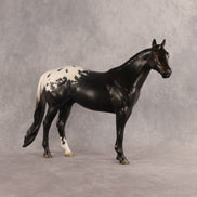 Jumble OOAK Ideal Stock Horse by Jess Hamill DDOOAKs26