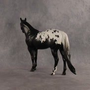 Jumble OOAK Ideal Stock Horse by Jess Hamill DDOOAKs26