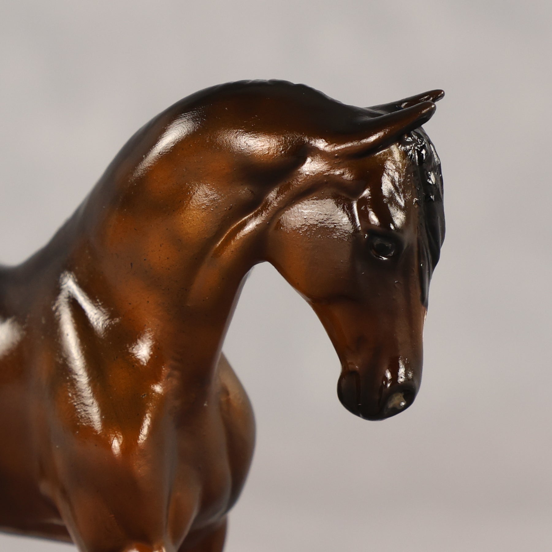 Just A Little Snack OOAK EFCM Chip Warmblood by Kristen Cermele Best Offer 6.2.2026
