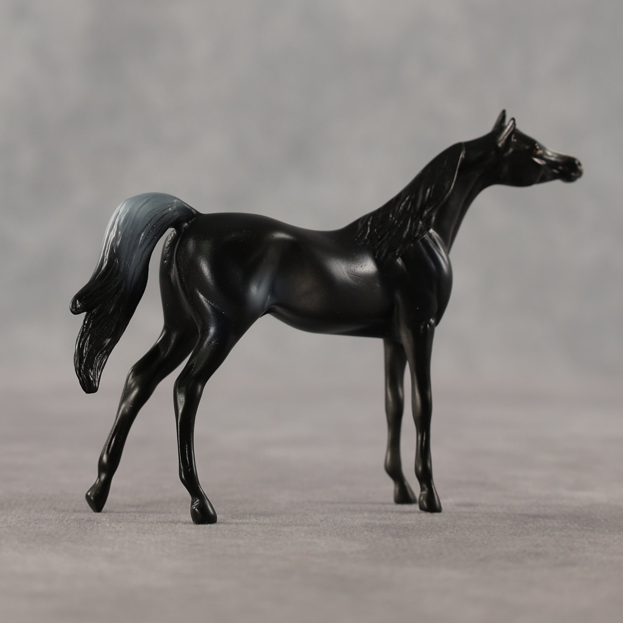 Just a Feeling LE-5 Chip Arabian by Anna Rieck April $99 Chips
