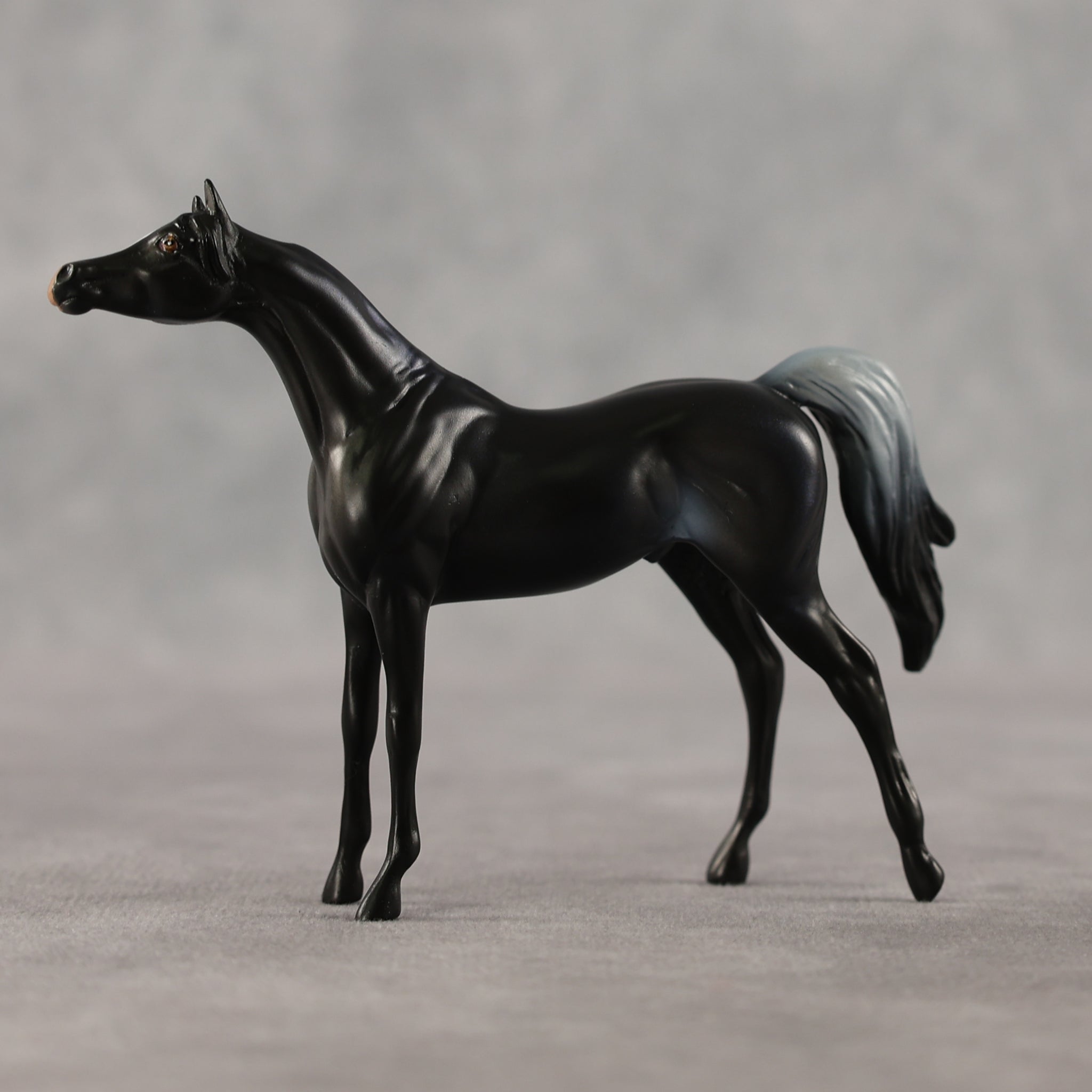 Just a Feeling LE-5 Chip Arabian by Anna Rieck April $99 Chips