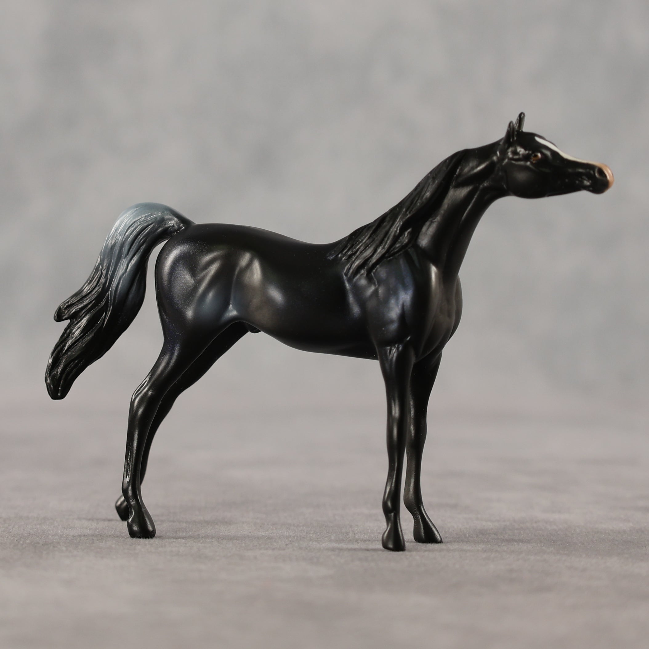 Just a Feeling LE-5 Chip Arabian by Anna Rieck April $99 Chips