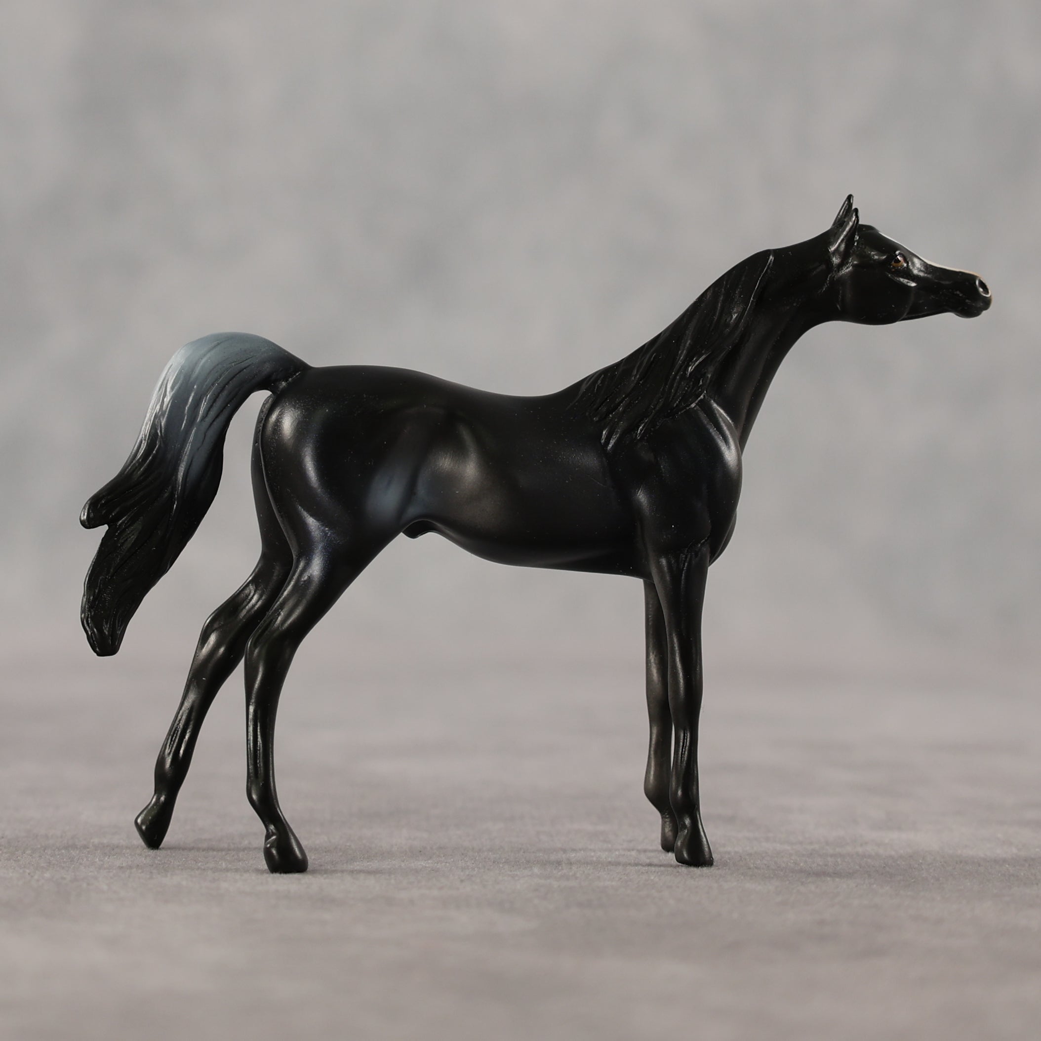 Just a Feeling LE-5 Chip Arabian by Anna Rieck April $99 Chips