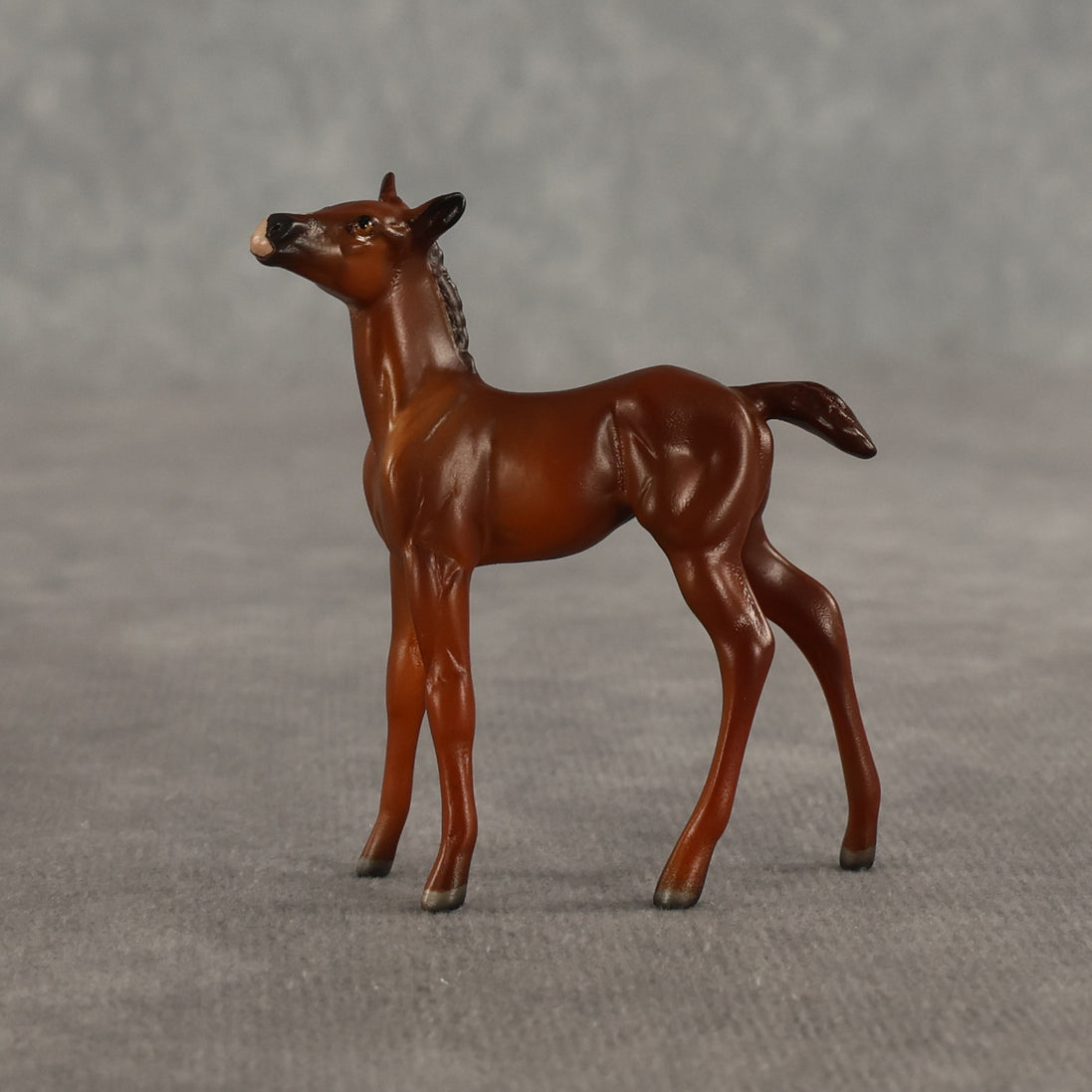 Liberty & Justice OOAK Chip FCM Stock Horse & Chip Foal by Anna Rieck SCD26