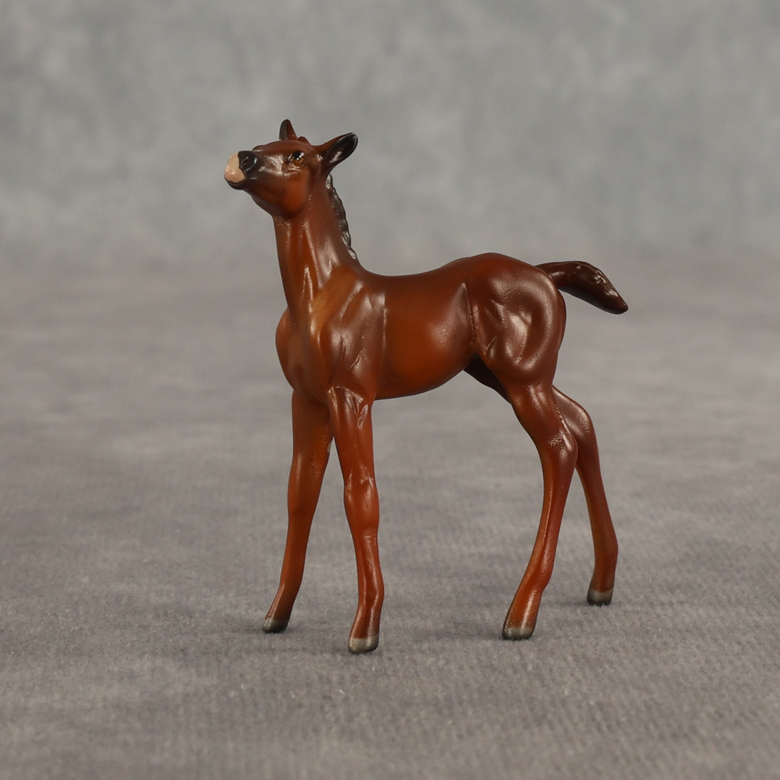 Liberty & Justice OOAK Chip FCM Stock Horse & Chip Foal by Anna Rieck SCD26