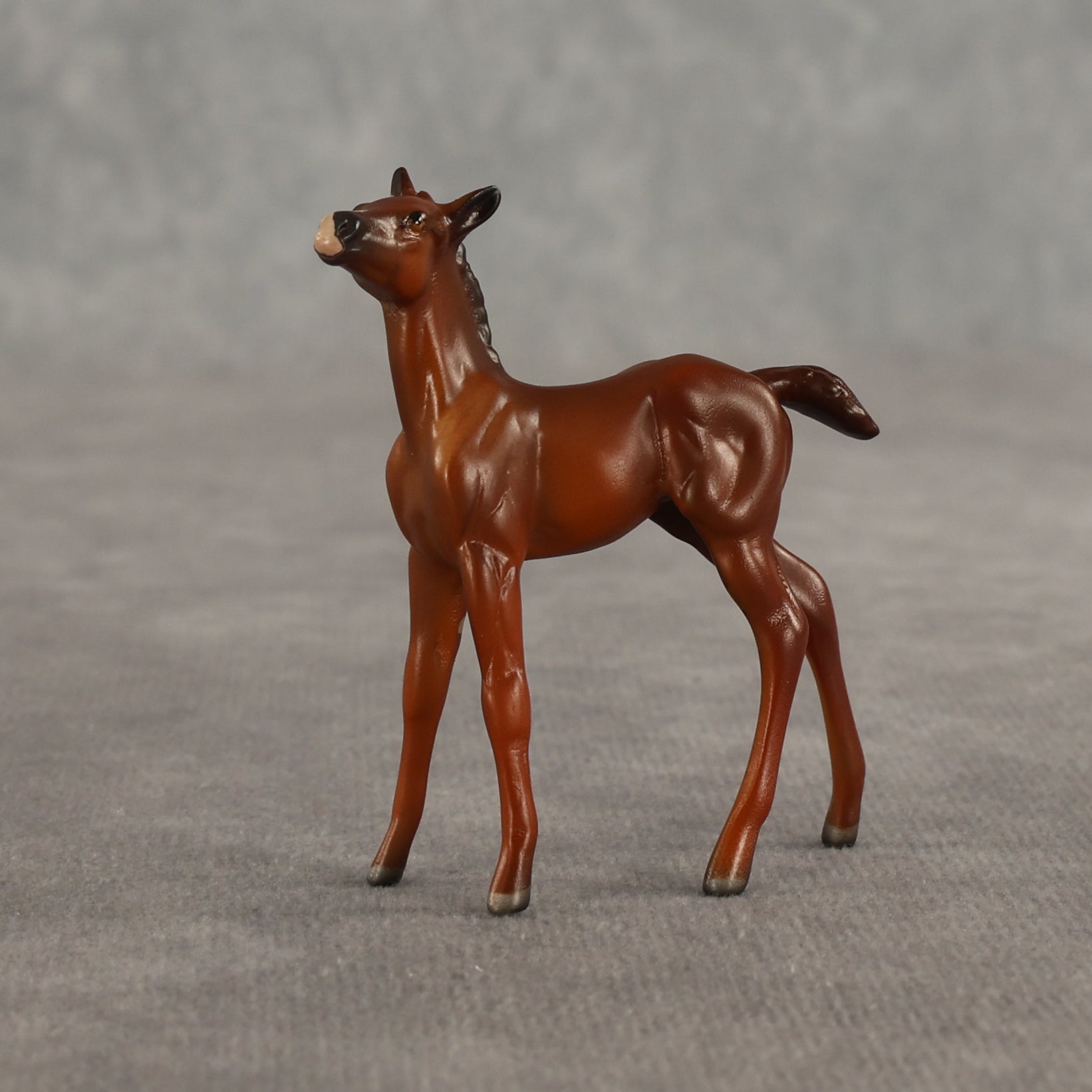 Liberty & Justice OOAK Chip FCM Stock Horse & Chip Foal by Anna Rieck SCD26
