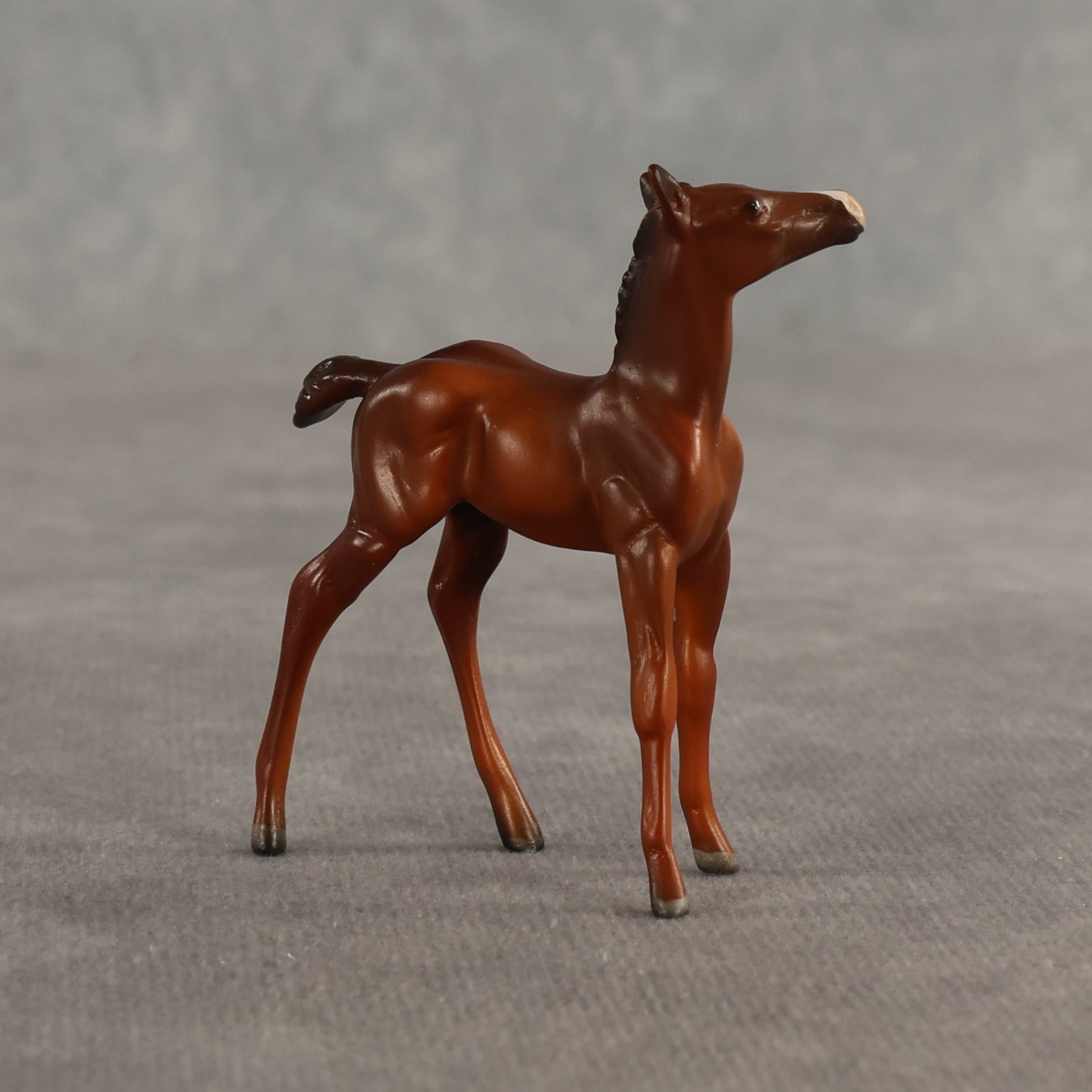 Liberty & Justice OOAK Chip FCM Stock Horse & Chip Foal by Anna Rieck SCD26