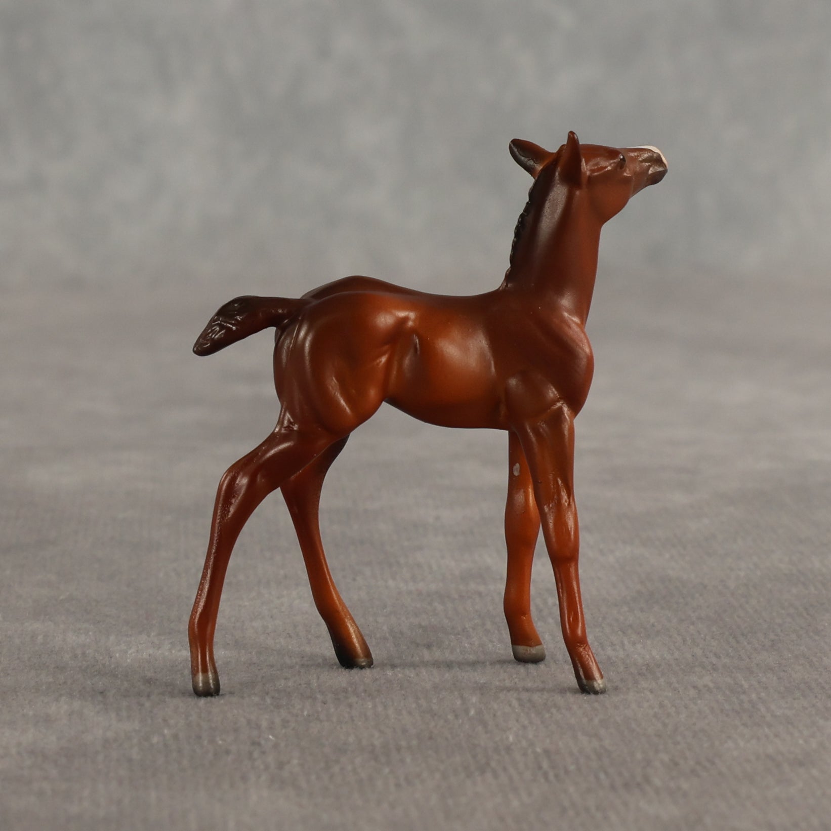 Liberty & Justice OOAK Chip FCM Stock Horse & Chip Foal by Anna Rieck SCD26