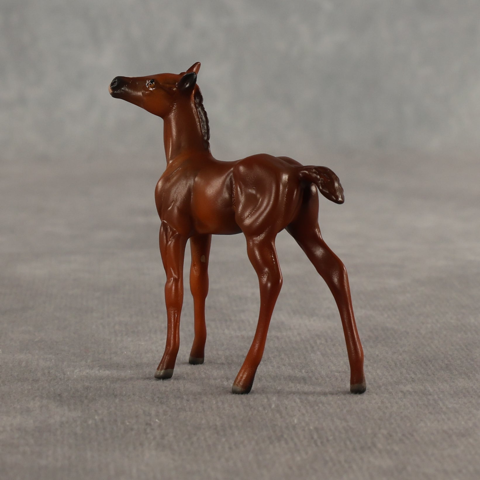 Liberty & Justice OOAK Chip FCM Stock Horse & Chip Foal by Anna Rieck SCD26