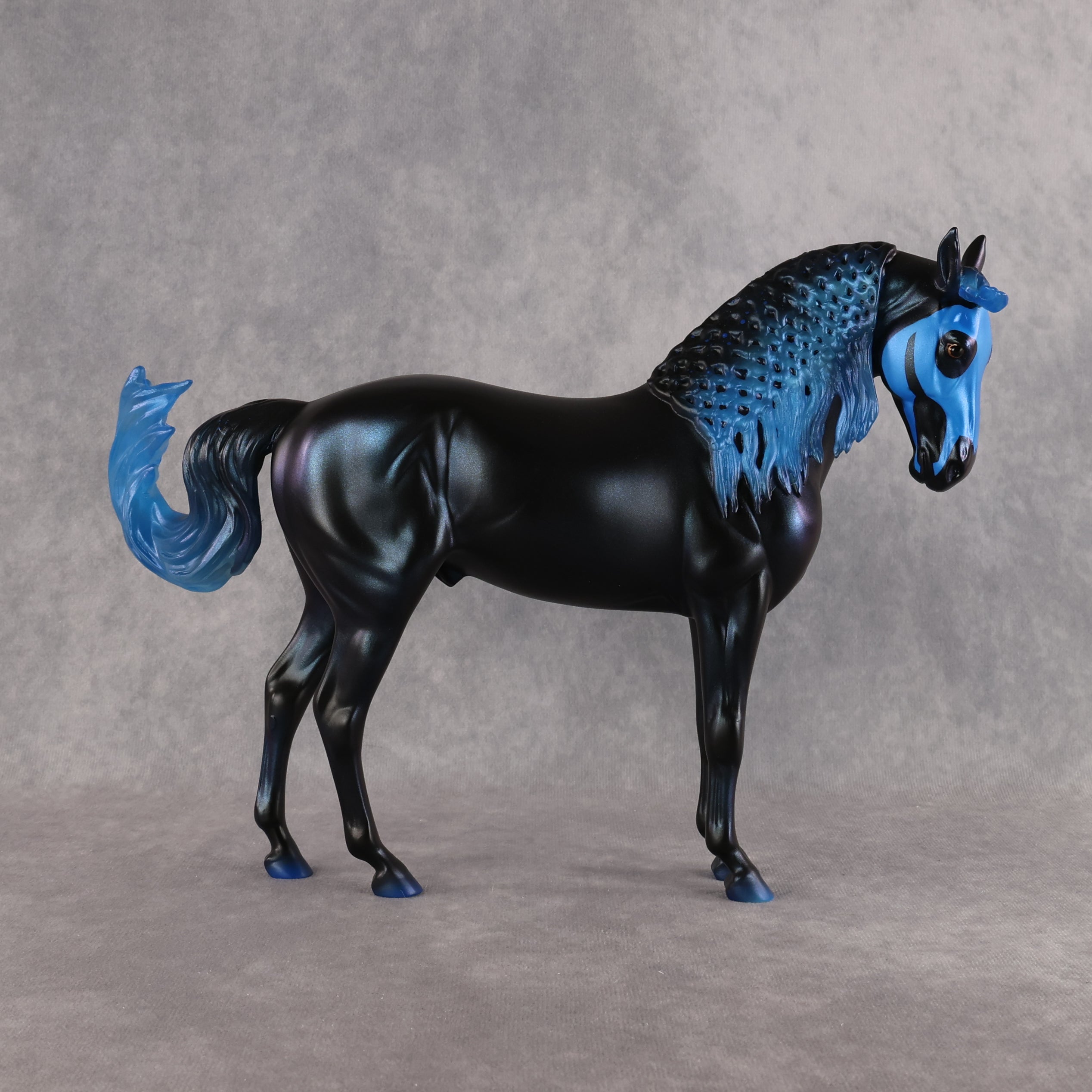 Kage LE-7 FCM Andalusian by Ashley Palmer EL26