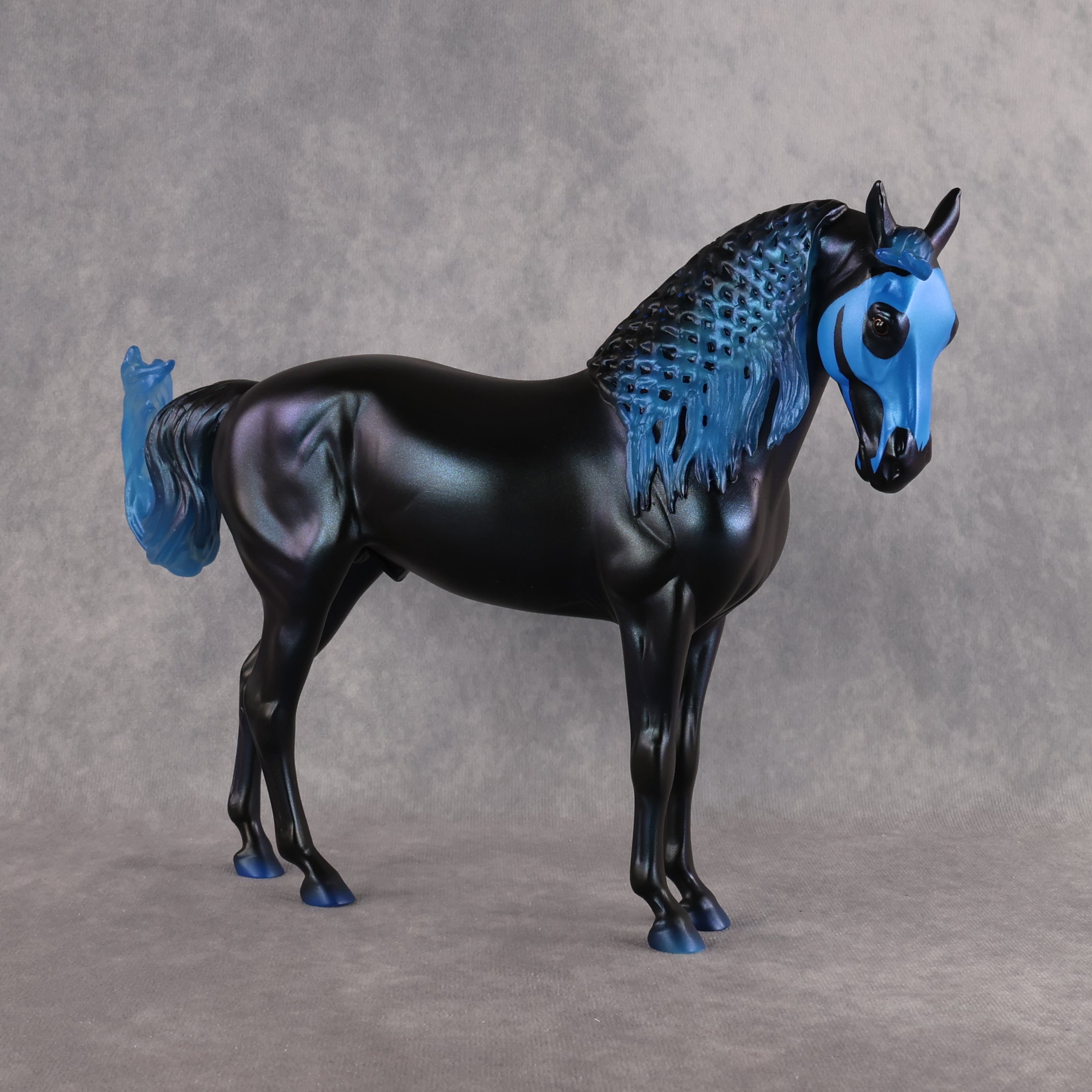 Kage LE-7 FCM Andalusian by Ashley Palmer EL26