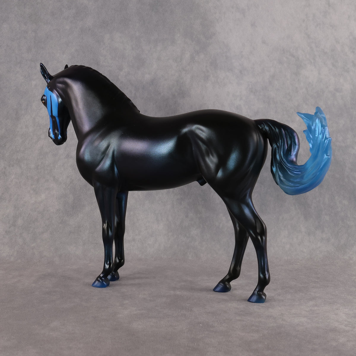 Kage LE-7 FCM Andalusian by Ashley Palmer EL26