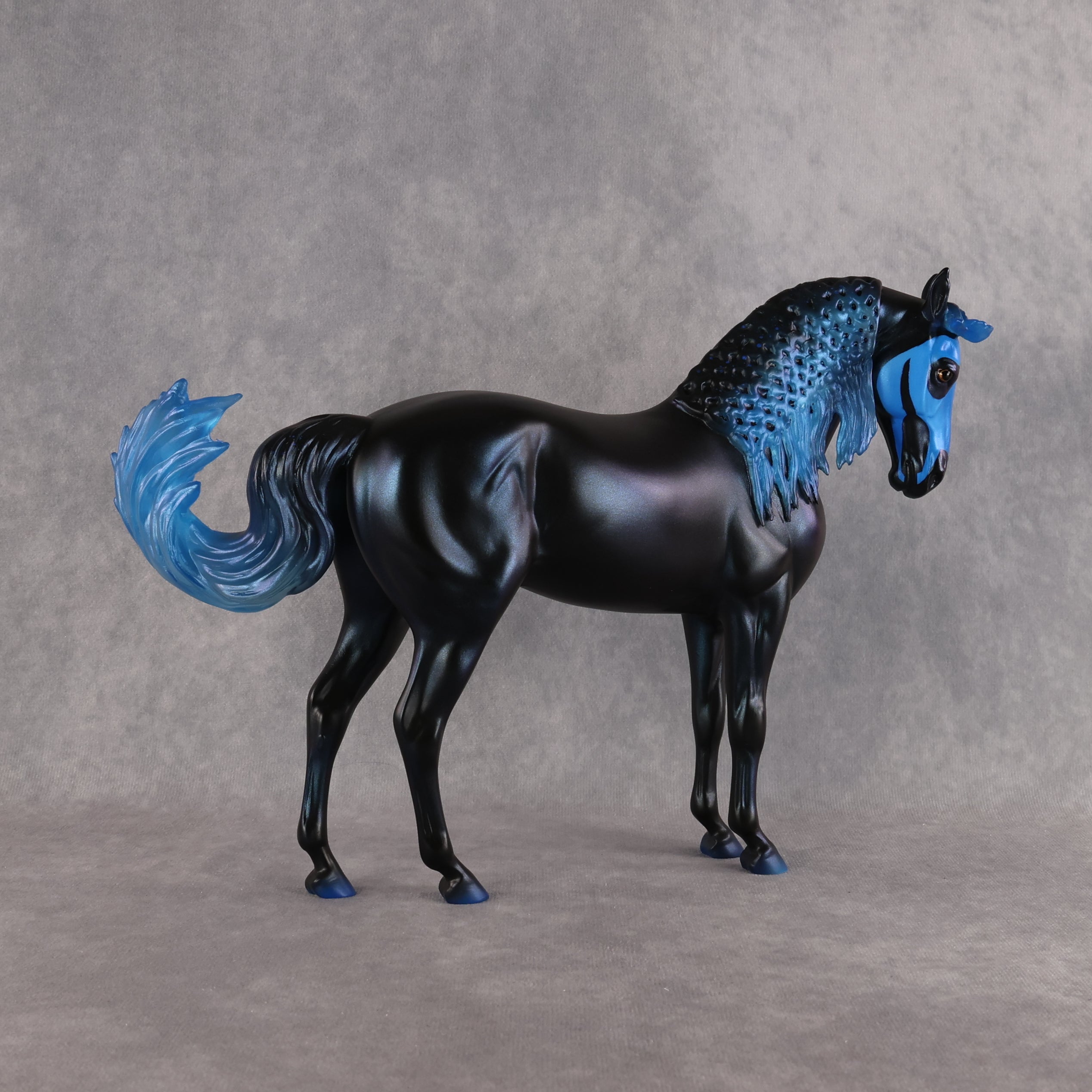 Kage LE-7 FCM Andalusian by Ashley Palmer EL26