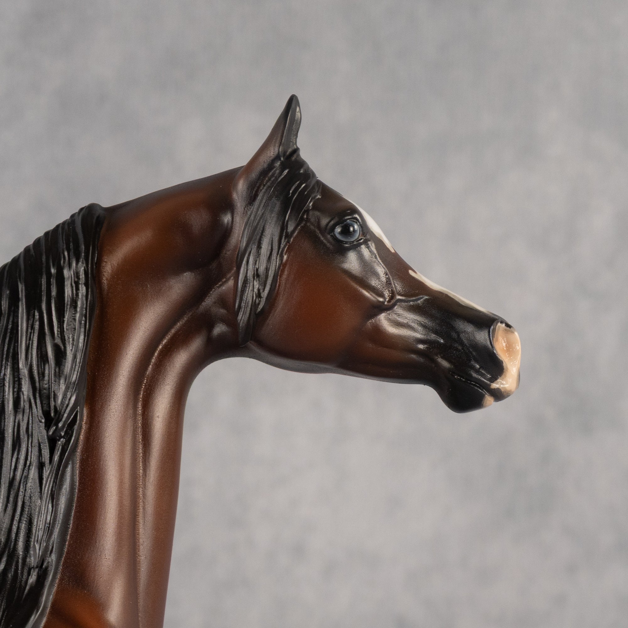 Kharibbean Blue OOAK EFCM Arabian Stallion by Jess Hamill Offer 7.21.2026