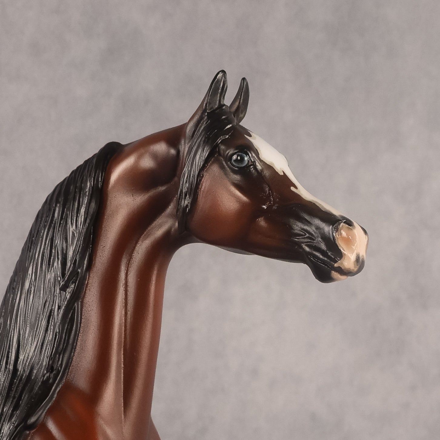 Kharibbean Blue OOAK EFCM Arabian Stallion by Jess Hamill Offer 7.21.2026